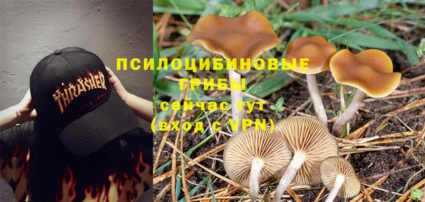 первитин Богданович