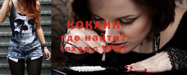 первитин Богданович