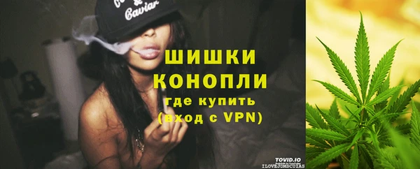 первитин Богданович
