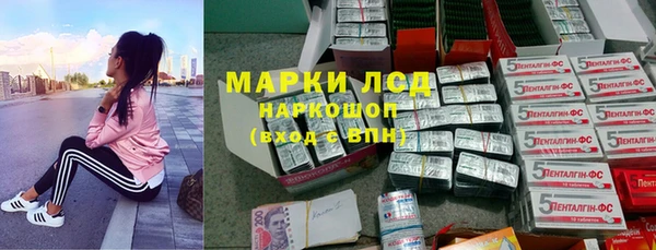 первитин Богданович