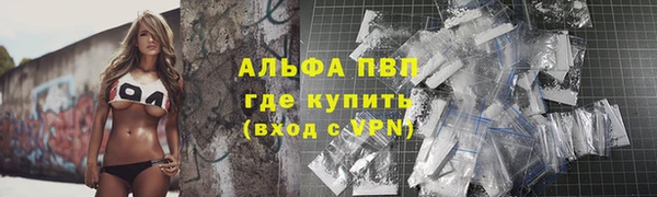 первитин Богданович