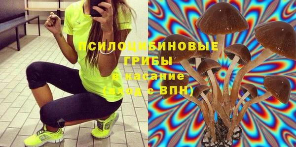 экстази Богородск