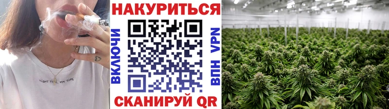 Бошки марихуана OG Kush  где можно купить наркотик  сайты даркнета формула  Бородино 